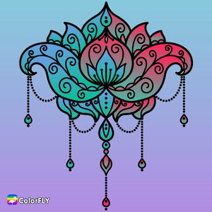 Meet your Posher, Aiden